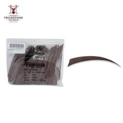 Plume Naturelle Shield 5" - Marron / Buck Trail