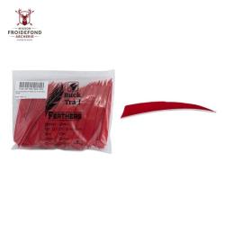 Plume Naturelle Shield 5" - Rouge / Buck Trail