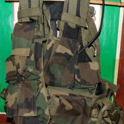 ARMEE AMERICAINE U.S : GILET DE COMBAT AVEC CAMOUFLAGE FEUILLAGE DE 2001 PERIODE GUERRE AFGHANISTAN
