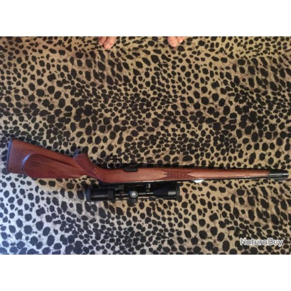 steyr mannlicher L sutzen