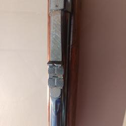 Carabine DUMOULIN & FILS 458 Winchester Magnum