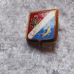 Insigne militaire spa 38 languedoc l arm&eacute;e de l air escadron de chasse
