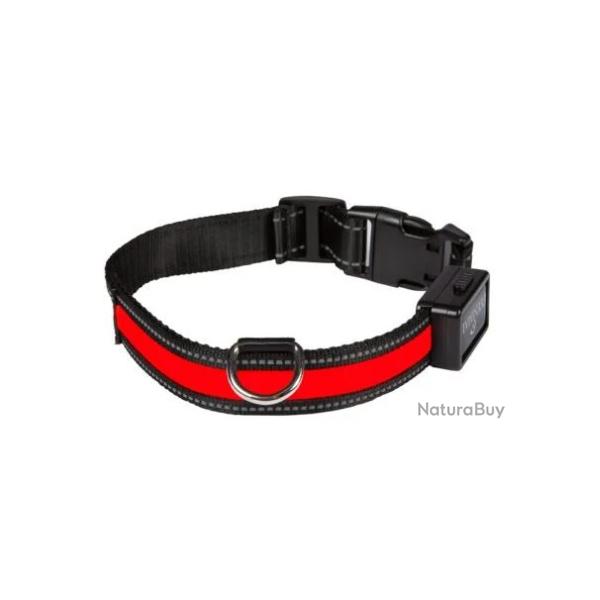 Collier Lumineux Rouge Pour Chien Rechargeable USB Taille M