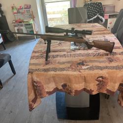 Carabine 22 lr tout &eacute;quip&eacute; optiques 6-24x50 vortex diamondback tactical bipied silencieux sak