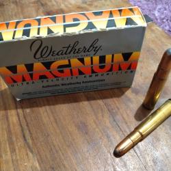 Weatherby .460 Magnum - 500 gr Round Nose Soft Point - 15 cartouches