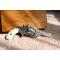petites annonces chasse pêche : Coffret Smith - Wesson Baby Russian gravé