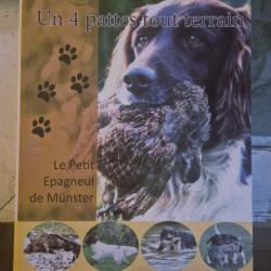 un 4 pattes tout terrain.le petit epagneul de munster.de pascale riga-boucher