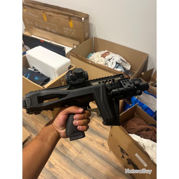 P-10c avec kit Roni et point rouge Bushnell