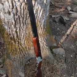 Fusil Luger cal 12 sans prix de r&eacute;serve