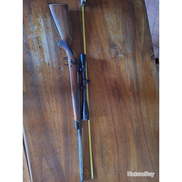 winchester mod.70  22-250
