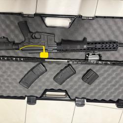 Carabine TROY P.A.R Sporting pompe Action Rifle cal 300 AAC