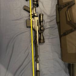 308 ctr inox tld