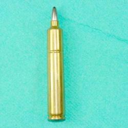 Cartouche 5.2  x 68  Mondragon 1894 MM