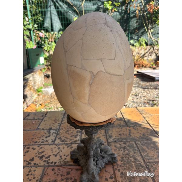 Vend oeuf d'Aepyornis maximus reconstituer