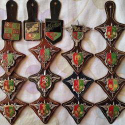 Lot de 19 insignes du SEA (service des essences des arm&eacute;es)