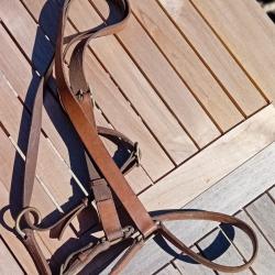 Licol d'officier de cavalerie, N&deg;1