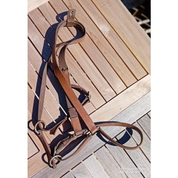 Licol d'officier de cavalerie, N�1