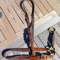 Licol d'officier de cavalerie, N&deg;2