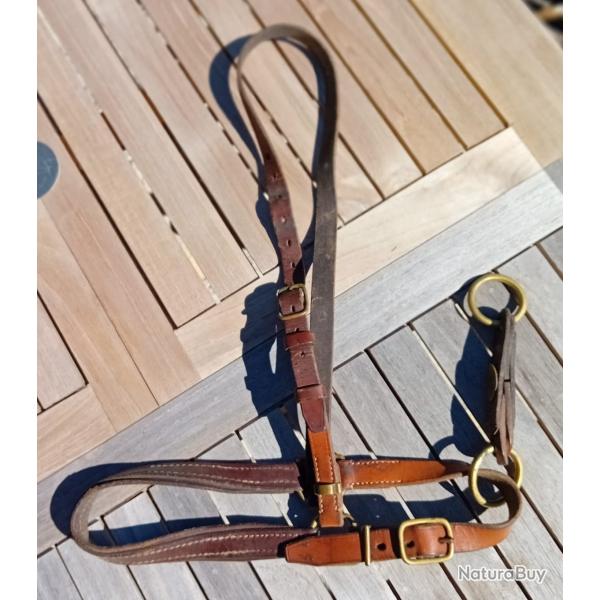 Licol d'officier de cavalerie, N�2