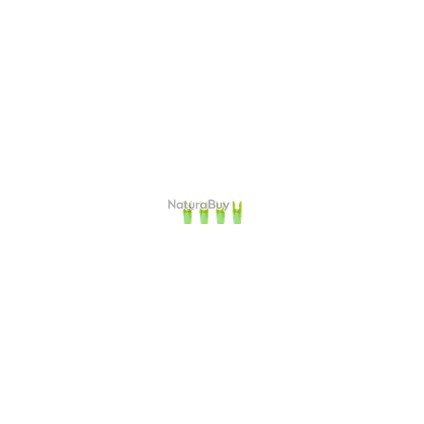 Encoche Pin Small - Sanlida - Vert translucide