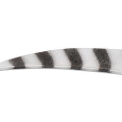 Plume Naturelle Shield Barr&eacute;e 4" - Jaune