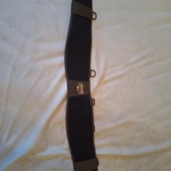Ceinture Arktis