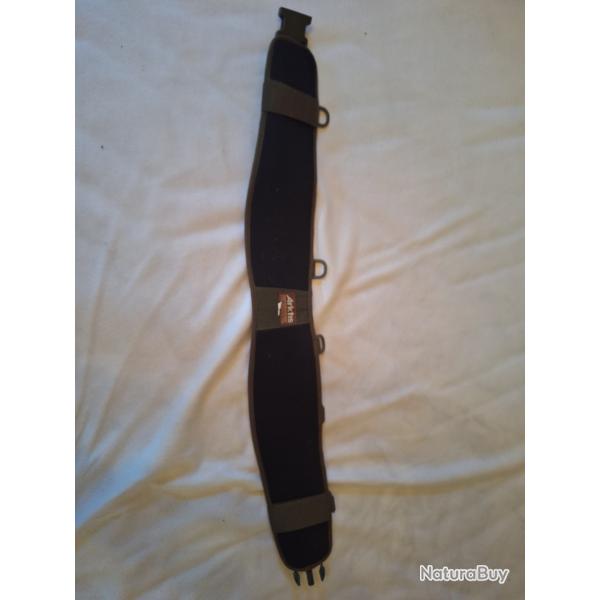 Ceinture Arktis