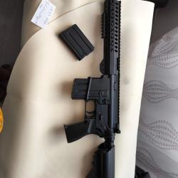 R&eacute;plique SR25