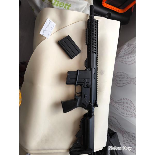 R�plique SR25