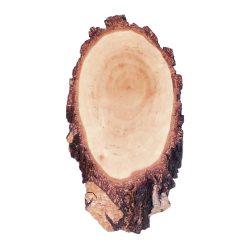 Plaques en bouleau pour troph&eacute;es de cerf - Ref 01533-40 - Pr&eacute;paration troph&eacute;e pro