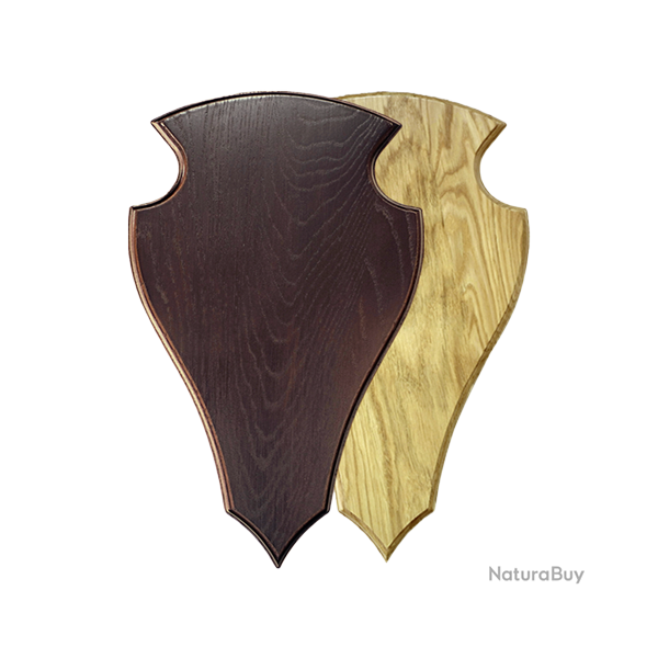 �cussons en bois de ch�ne pour troph�es d'�lan - Ref 01506-44 - Pr�paration troph�e pro