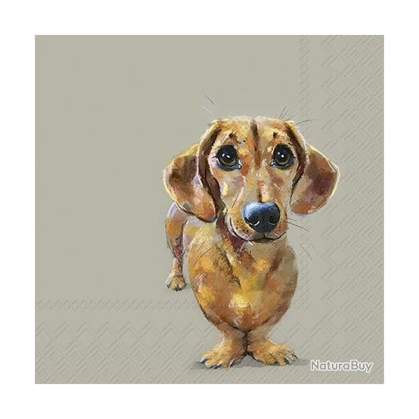 Serviettes en papier - Ref 19200-38 - Cadeau th�me chasse