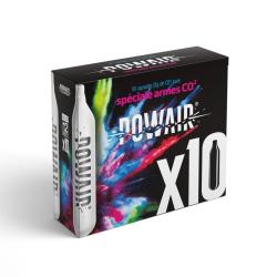 CARTOUCHES CO2 12GR X 10 "POWAIR"