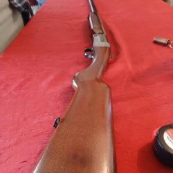 Fusil cal 20