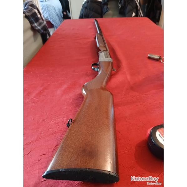 Fusil cal 20