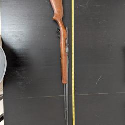 Carabine 22lr semi-auto