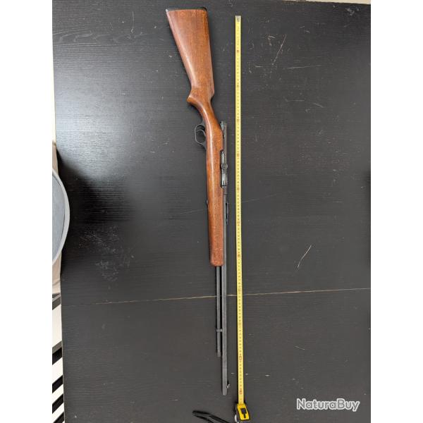 Carabine 22lr semi-auto