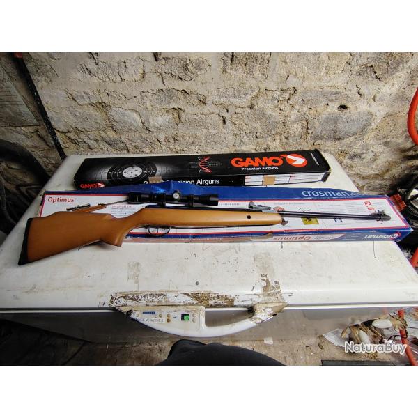 Carabine � plomb crosman