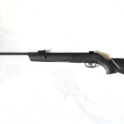 Carabine &agrave; plomb Gamo Big Cat 1000-E IGT