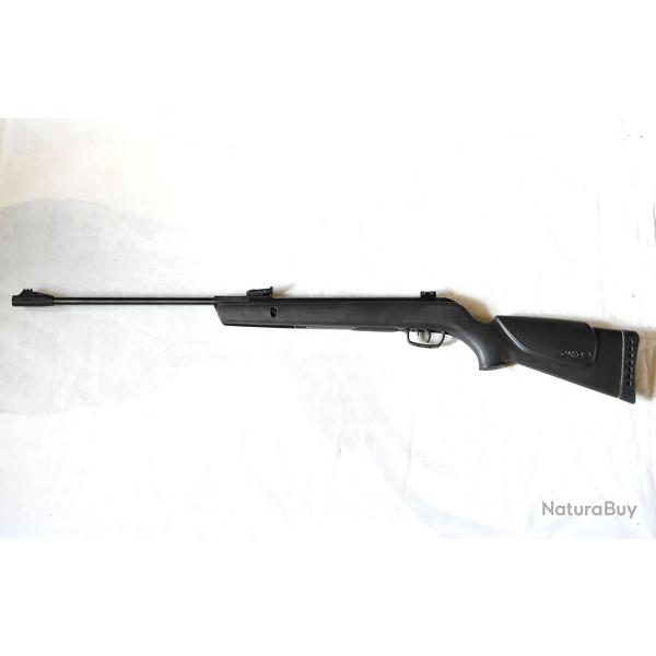 Carabine � plomb Gamo Big Cat 1000-E IGT