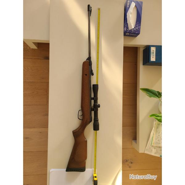 carabine � plomb marque:gamo, model 610