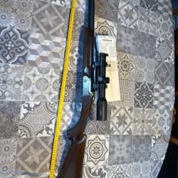 Carabine express Dumoulin 8x57