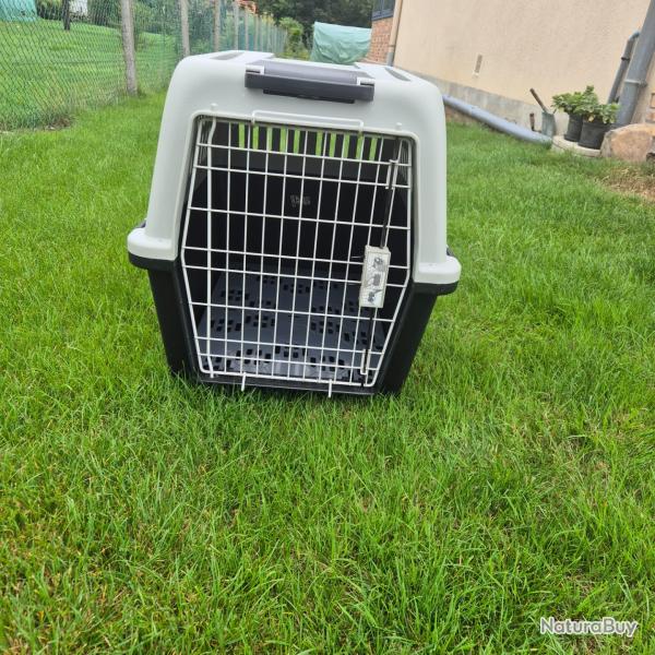 Caisse de transport pour chien