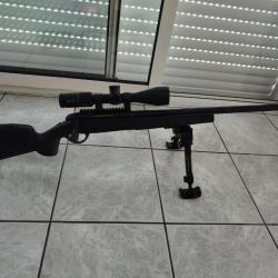 carabine mannlicher