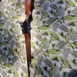 Carabine BROWNING semi-automatique 270 WW SP avec point rouge