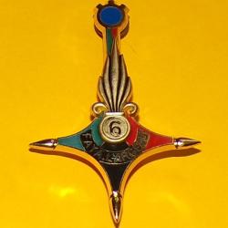 LEGION :  6&deg; R.E.G, 1&deg; Compagnie, FAYA LARGEAU , croix du sud Agad&egrave;s dor&eacute;e verte rouge brochet d'une