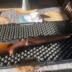Carabine chasse
