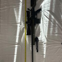 Custom Remington 700 Calibre 308 (Gaucher)