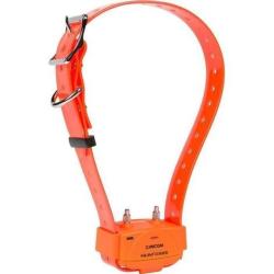 collier suppl&eacute;mentaire canicom