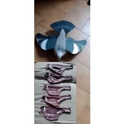 CHAUSSETTE 3 D + APPELANT PIGEON